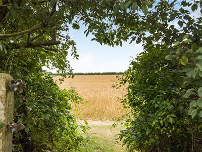 Picture 23